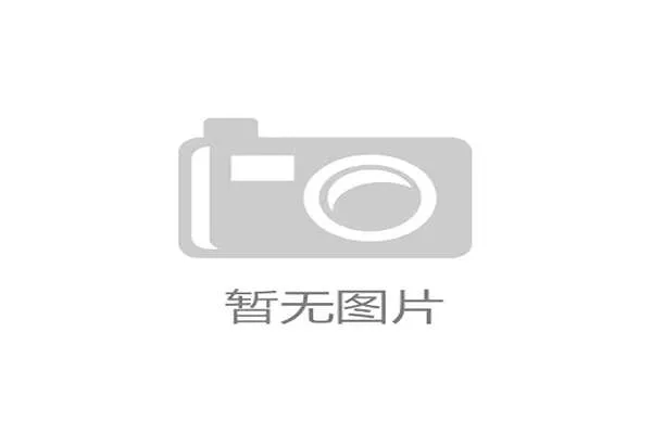 加纳队冲击2026世界杯前景分析 能否重现非洲黑马传奇