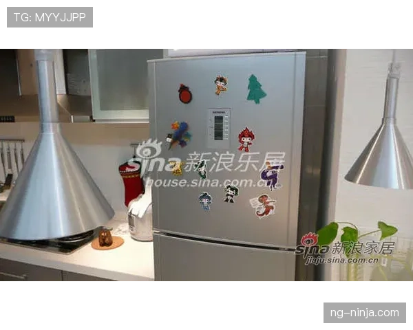 杨倩家的冰箱里塞满了奥运金牌同款小黄鸭,邻居说她买菜都用冠军积分换 杨倩家的冰箱里塞满了奥运金牌同款小黄鸭,邻居说她买菜都用冠军积分换